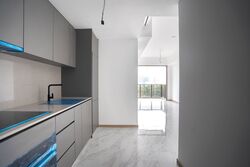 The Landmark (D3), Condominium #550529551